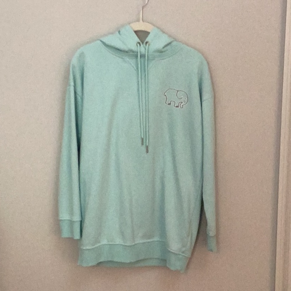 Ivory Ella hooded ice green sweatshirt